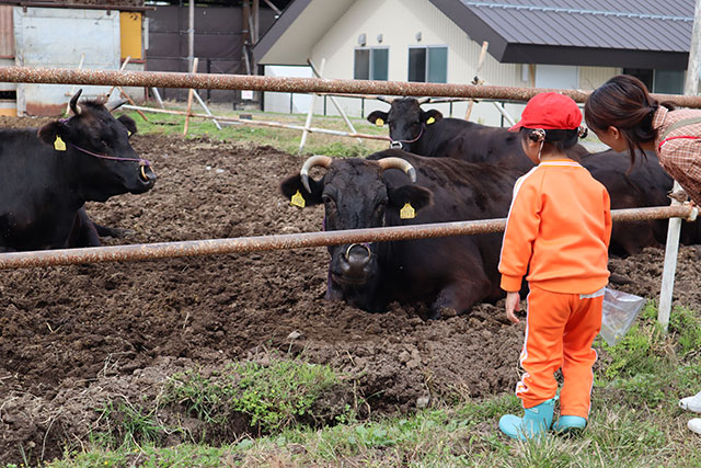 楽しい思い出になったよ!親子りんご狩り遠足3